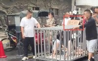 写在摆拍“浸猪笼”博流量事件之后